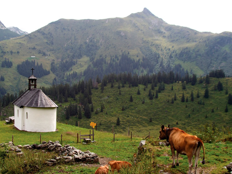 Haus Rieser Sommer